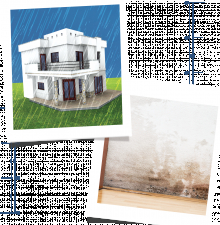 Where does dampness in home come from?